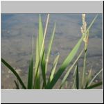 2012-07-05 - 09-50-08.JPG